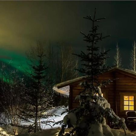 Arngrimslundur Log Cabin - Cabin 3 Flúðir Zewnętrze zdjęcie