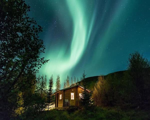 Arngrimslundur Log Cabin - Cabin 3 Flúðir Zewnętrze zdjęcie